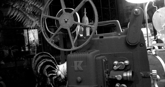 Annual Human Rights Film Series - Using the power of film to educate and advocate about human rights.